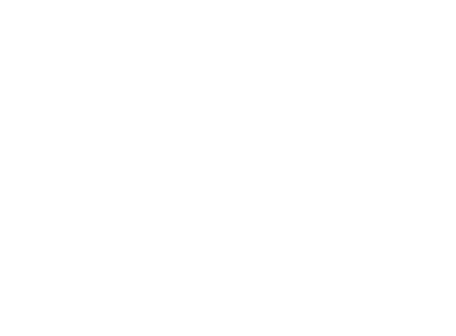 Black Lion Distribution logo